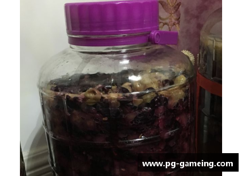 梅酒之乐：醉心酿造与美味传承