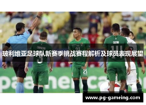 玻利维亚足球队新赛季挑战赛程解析及球员表现展望